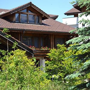 Hotel Aeschipark